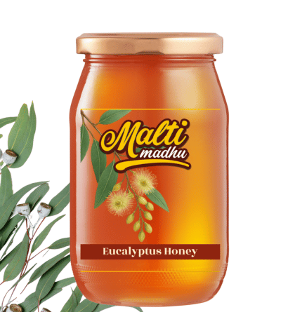 Eucalyptus - Image 3